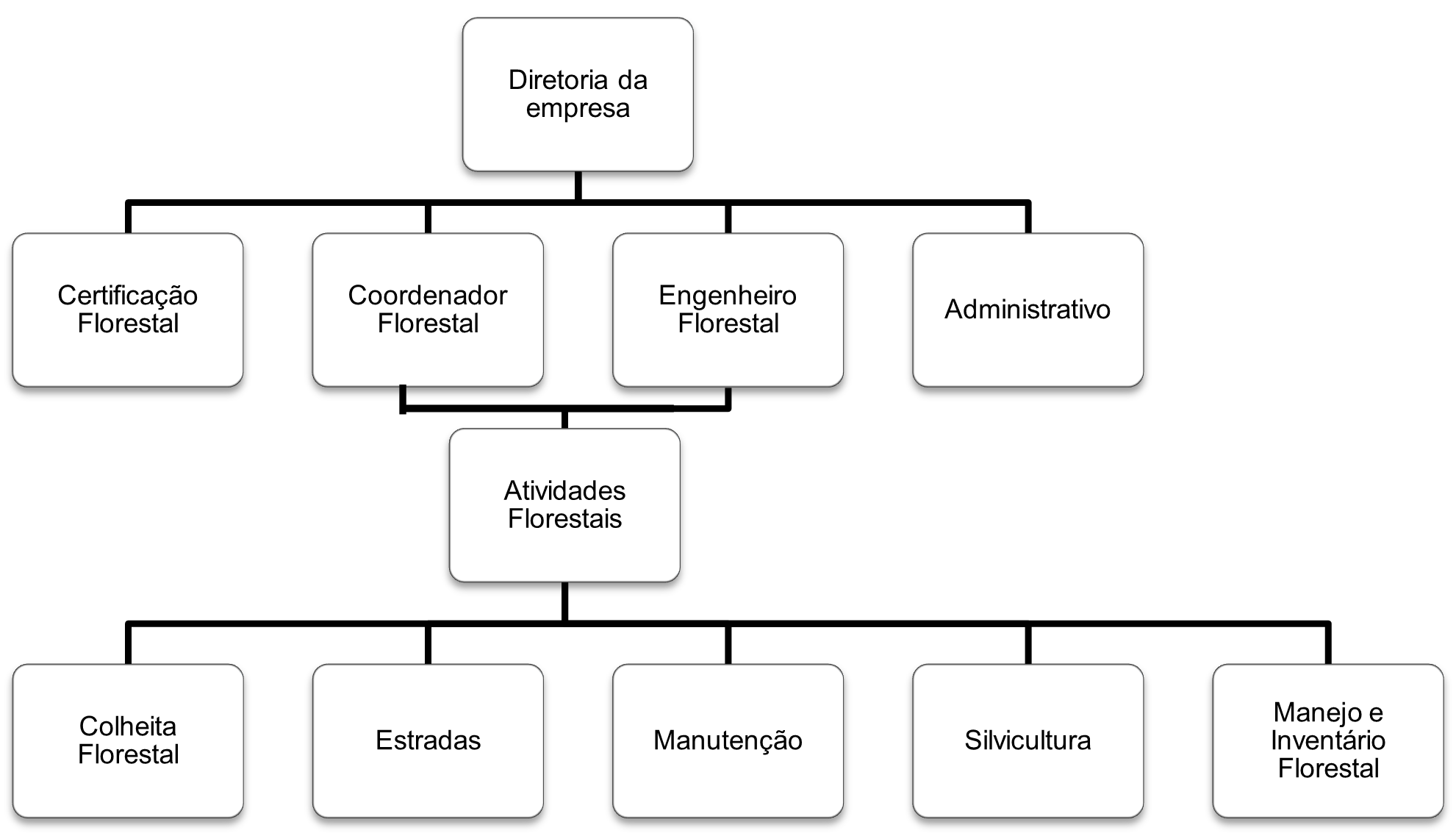 Estrutra organizacional
